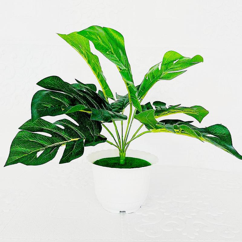 Artificial Plant Green Pot 9 Turtleback Leaf Faux Foliage Home Decor Photography