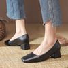 2025 New Spring Square Head Light Mouth Thick Heel Single Shoes Middle Heel Black Work Small Leather Shoes Large Size 41 Women's Shoes