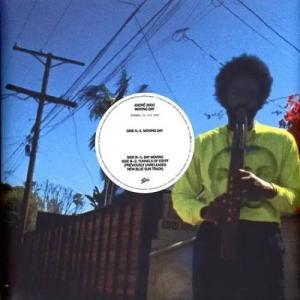 

LP Record ANDRE 3000 - Moving Day EPIC876221 EPIC 2025 Worldwide Dance & Electronica