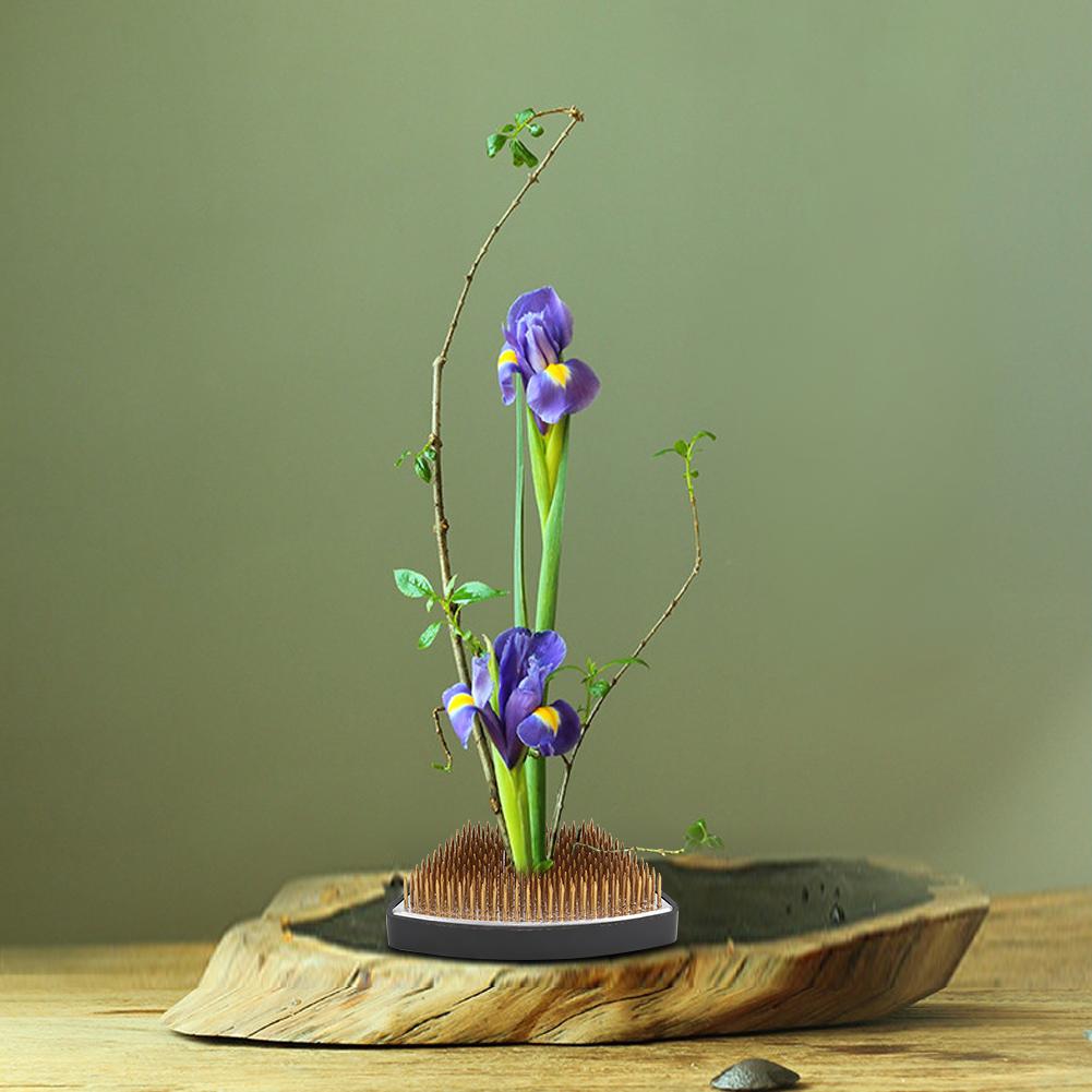 Arc shaped Flower Kenzan Holder Flower Arrangement Needle Pin Arranging Tool Accessories(S )