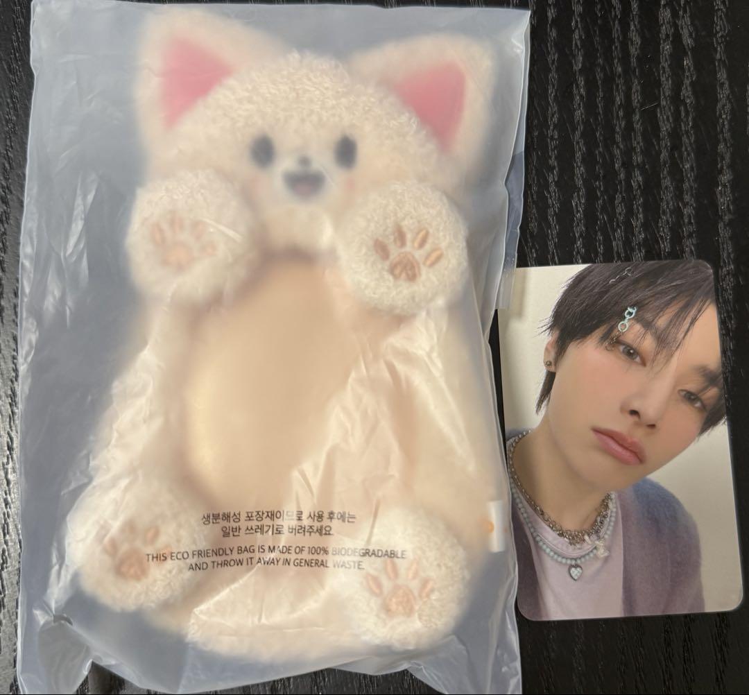 

[USED] Stray Kids Korean Fan Meeting Trading Card Case AIN