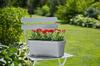 Anthracite Plastic Balcony Box 40x17cm Lobelia