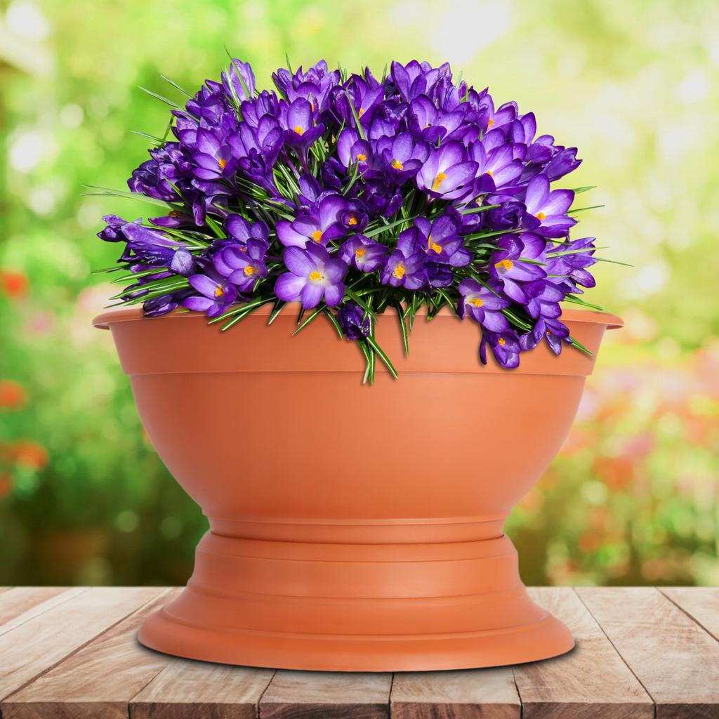 KADAX Pot Bowl Bowl For Chrysanthemums