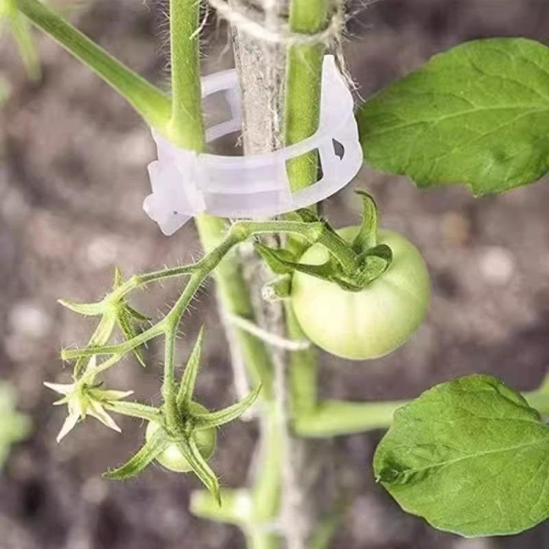 Green Plant Fruit Tree Fixing Clips, Snap-on Seedling Support Poles for Vine Climbing, Fruit and Vegetable Seedling Hanging Clamps