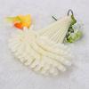 Nail Polish Gel Practice Sticks Fan Rosette Board False Nail Art Tip Display