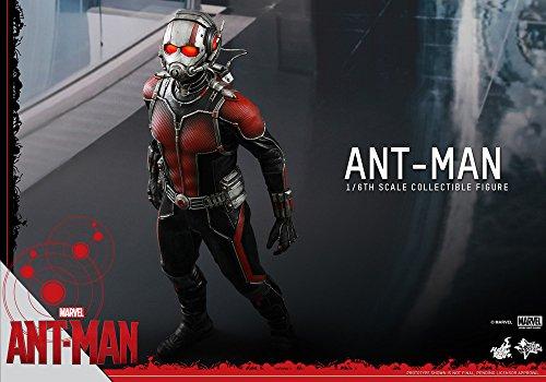 Movie Masterpiece Ant-Man 1/6 Scale Plastic Painted Movable Figure