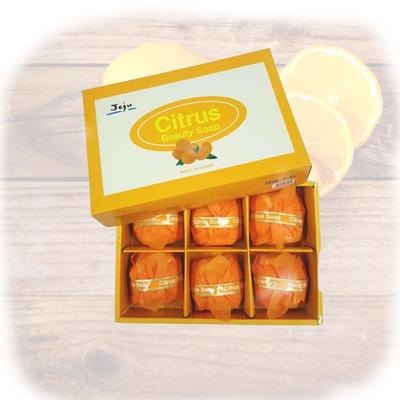 Dasan BBCLSXQX Citrussåpserie 100g X 9