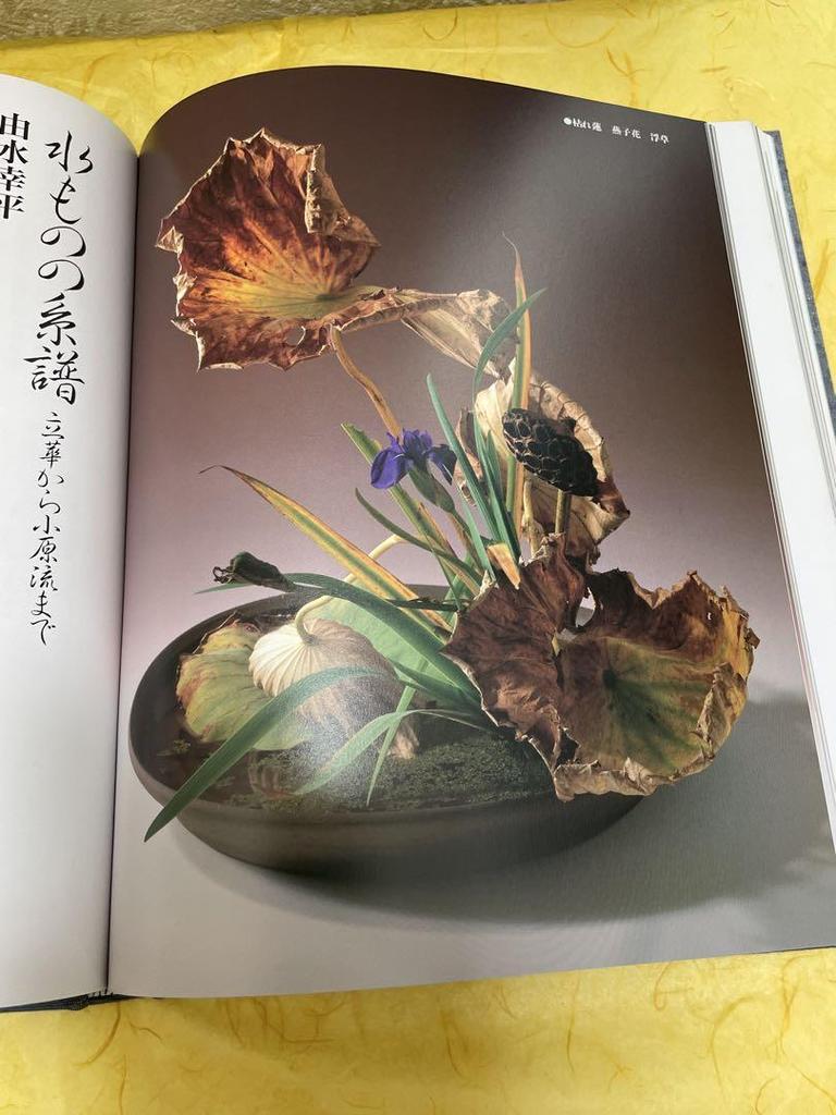 [USED] Arranging Waterside Nature-Based Waterworks Collection Ohara School Ohara School Editorial Office Flower Arrangement Fresh Flowers Ikebana