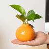 Orange Fruit Shaped Flower Vase Propagation Plastic Vase Desktop Art Vase Tabletop Decoration Bunch Centerpieces Home Decoration