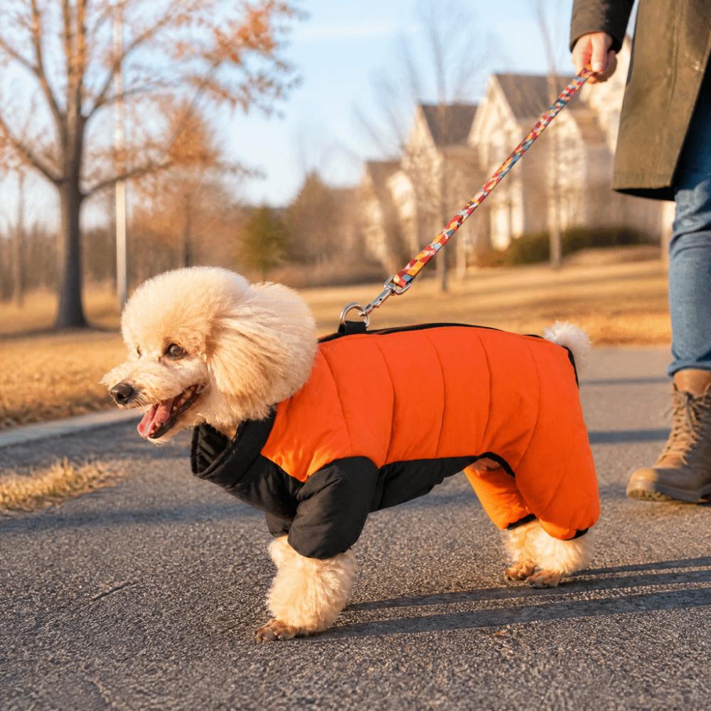 Windproof Dog Jumpsuit Coat Thicken Dog Four Legged Clothing Dog Down Jacket  Autumn Winter