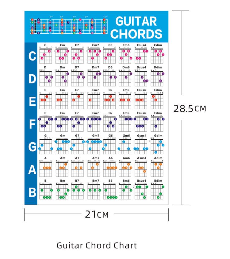 Complete Guitar Accessories Set: Strings, Picks, Tuners, Capos & More