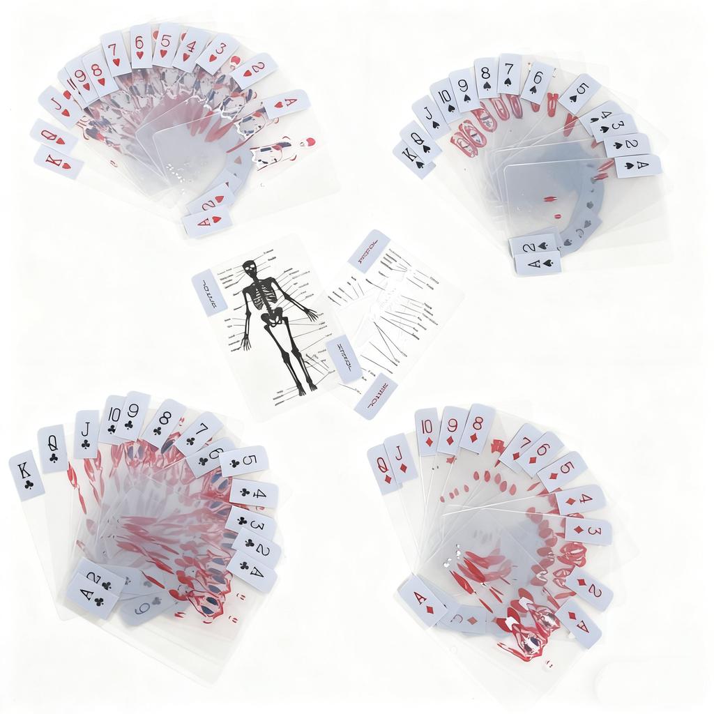 Human Skeleton Knowledge Poker Cards, Transparent PVC Waterproof Cards, Educational Gifts and Collectibles for Medical Students