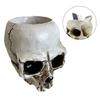Almacenamiento Versátil Calavera Plato de Caramelo Bol Decorativo Diseño Multiusos Material de Resina Centro de Mesa de Temporada 12*10*9cm