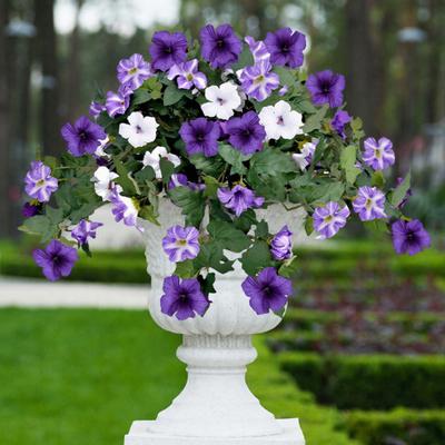 Floare Artificială Plantă cu Frunze Verzi Căzătoare Realistă Nu Se Veștejește Flori Decorative Culoare Strălucitoare Floare Falsă Decor Interior Exterior Casă Nuntă Petrecere