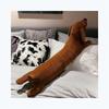 Cartoon Dachshund Plush Cushion: Panda Design Pillow and Leg Clip