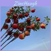 Faux Pomegranate Fruits For Interior Decoration And Photo Studio Props