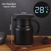 316 Stainless Steel Insulated Kettle with Tea Infuser - Compact Home or Office Hot Water Bottle