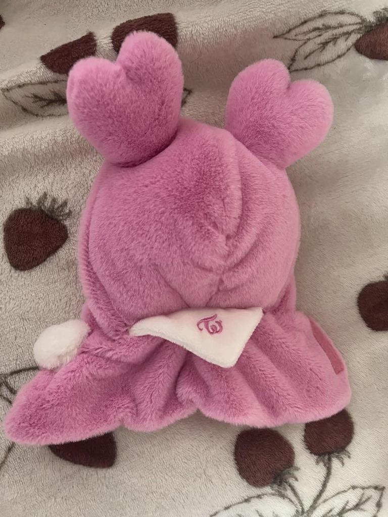 [USED] TWICE RTB Seoul Concert Light Stick Cover