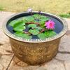 Grote Lotus Bloempot 7,5L Inhoud Retro Bloempot Waterreservoir Plantenbak Buiten Gebruik