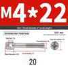 304 Stainless Steel Lead Seal Galvanized Meter Screw with Cross Hole