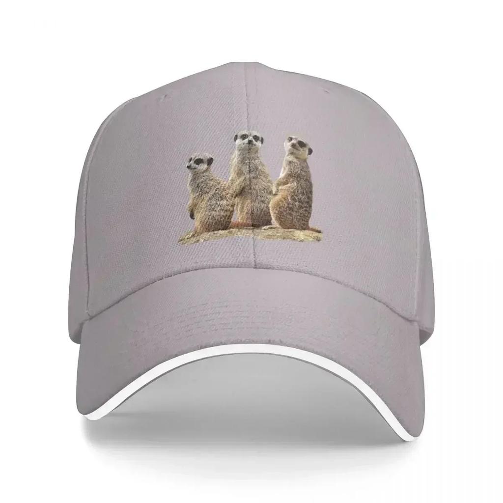 Funny meerkat on a rock in Africa Baseball Cap summer hat hard hat Snap Back Hat Trucker Cap Womens Beach Unisexs