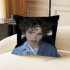 Singer B-Benson B-BooneS Pillow Case Ultra Soft Skin Friendly Fabric Cloud Like Comfort & Concealed Zipper