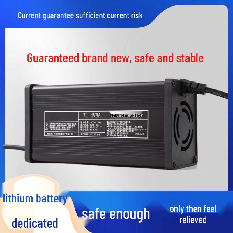Gangwo 60V 5A Smart Fast Charger for Niu Electric Scooters