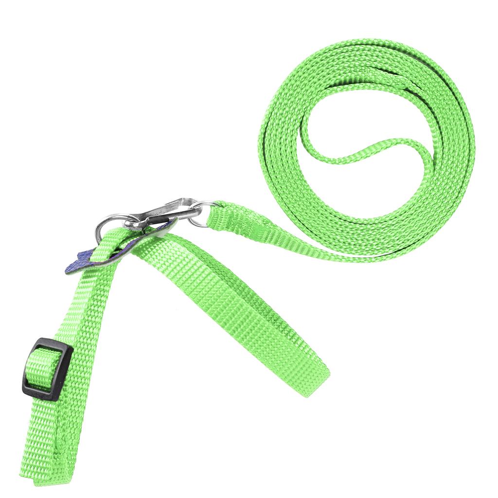 Vogelgeschirr Papageienleine Verstellbar Vögel Nylon Anti-Biss Seil für Outdoor-Training(Grün )
