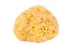 Elvi Grace Naturschwamm Badeschwamm Wabenstruktur Empfindlich Trocken Rau Hergestellt in Griechenland [14cm-16cm] Haut, Haut, Haut, Baby,