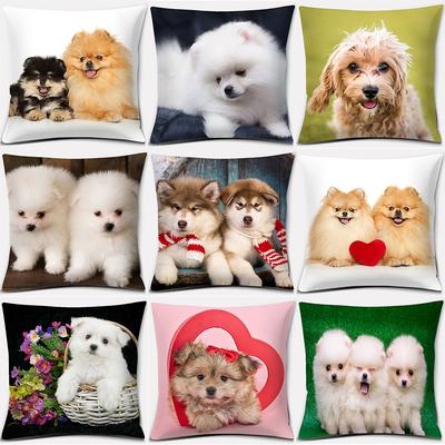 Taie d'oreiller décorative carrée à motif chien pour canapé de salon, coussin, décoration intérieure