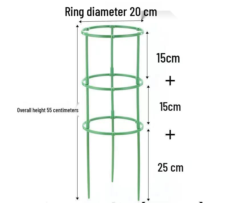 Indoor Climbing Plant Support Trellis for Dragon Fruit, Pothos, and Sunflower