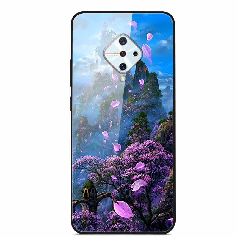 Für vivo V17 Hüllen V17 Pro Gehärtetes Glas Harte Rückseite Für Vivo V15 Pro Handyhülle Coque Für Vivo X50 Pro Lite Hülle X 50Lite