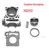 Zongshen Saicong XQ 250/300 Motorrad Zylinderlaufbuchsen Satz