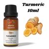 Ananta Turmeric Essential Oil 10 Ml | Earthy Aromatic Oil | Diffuser & Home Fragrance Use