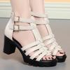 6cm All Match Comfortable Thick Bottom Platform Shoes Women Summer 2025 Med Block Heels Gladiator Sandals for Office Mom Beach