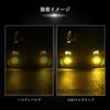 Catland H3 LED Fog Lamp, 2 Color Switching, White, Yellow, LED Bulb, 2 Colors,