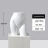 Underwear Display Mannequin: Half-Body Model for Bra and Panty Showcases