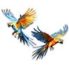 Macaw Car Sticker Waterproof Vinyl Decal on Bumper Rear Window Laptop Self-adhesive Decal For Car Accessories TM211