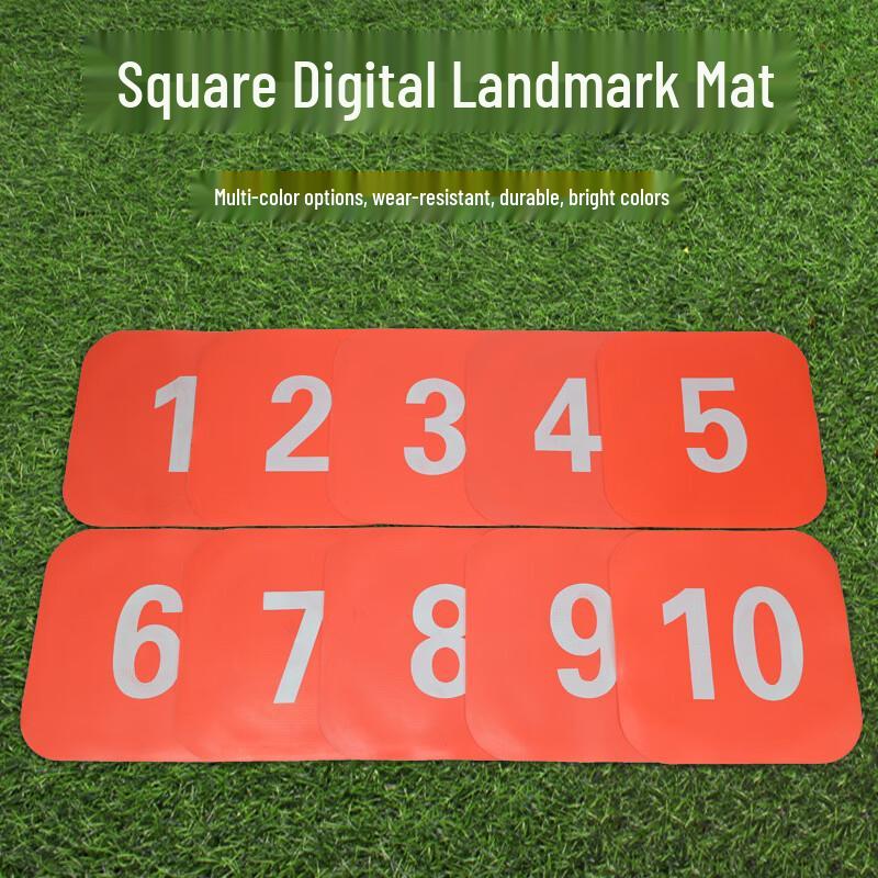 Fengyi 23cm Square Training Marker Disc