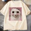 Goofy Ahh Katze T-Shirt Meme Dank Verflucht Weirdcore Cringey T-Shirts Unisex Unisex Ich bin zu albern T-Shirt Huh Katze Memebn Weinende Katze
