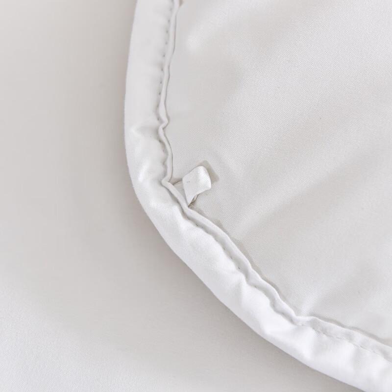 Yinxiangji Selected Thick Warm Wool Quilt