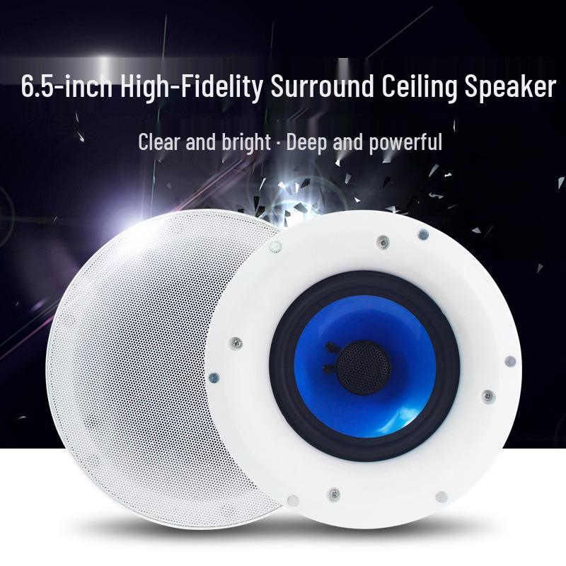 6.5-inch Ceiling Speaker for Background Music and Broadcast