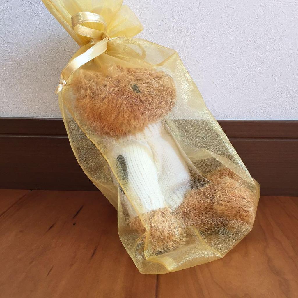 [USED] Lexus Teddy Bear (Snow)