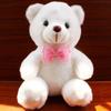 Small Flash Led Teddy Bear Stuffed Animal Plush Soft Hug Toy Baby Gift Girls