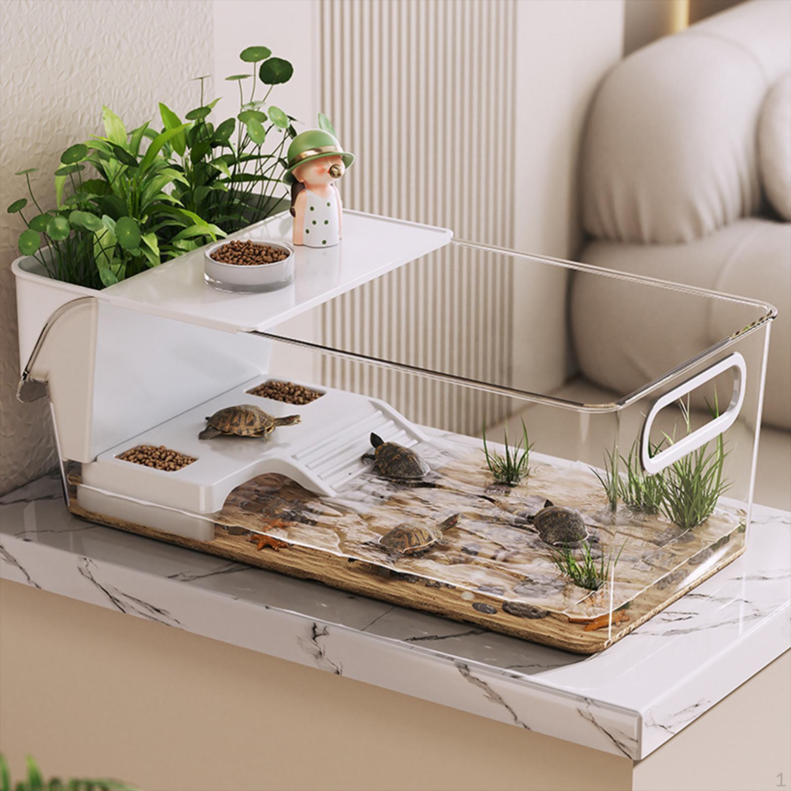 

Аксессуары для аквариума для черепах Рампа для баскинга Прочный террариум для черепах Стартовый рептилий хабитат S