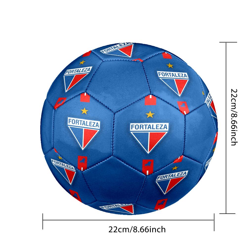 Fortaleza Indoor Soccer Ball Colorful All Ages Size 5 Machine Stitched PVC Competition Ready Durable High-Bounce