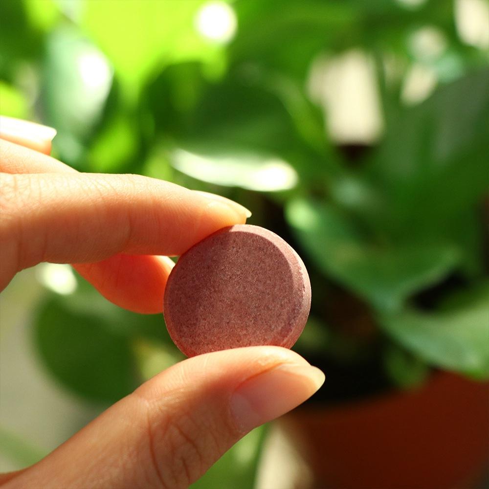 

Органічне фосфорне добриво повільного вивільнення Прискорює ріст Рослинні поживні таблетки Таблетки калію повільного вивільнення Квіти XXS