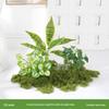 Luxury Faux Green Plant and Flower Decor - Indoor Moss and Grass Clusters for Elegant Landscaping.