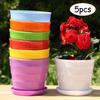 5pcs Colorful Flower Pots Small Round Pots Trays Succulents Herb Plant Flowerpot Office Garden Home Indoor Decor DIY Supply