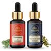 Wildflower Essentials Pumpkin Seed Oil Cold Pressed and Rosemary Oil Pure for Hair, Skin 15ml Each (With Glass Dropper)